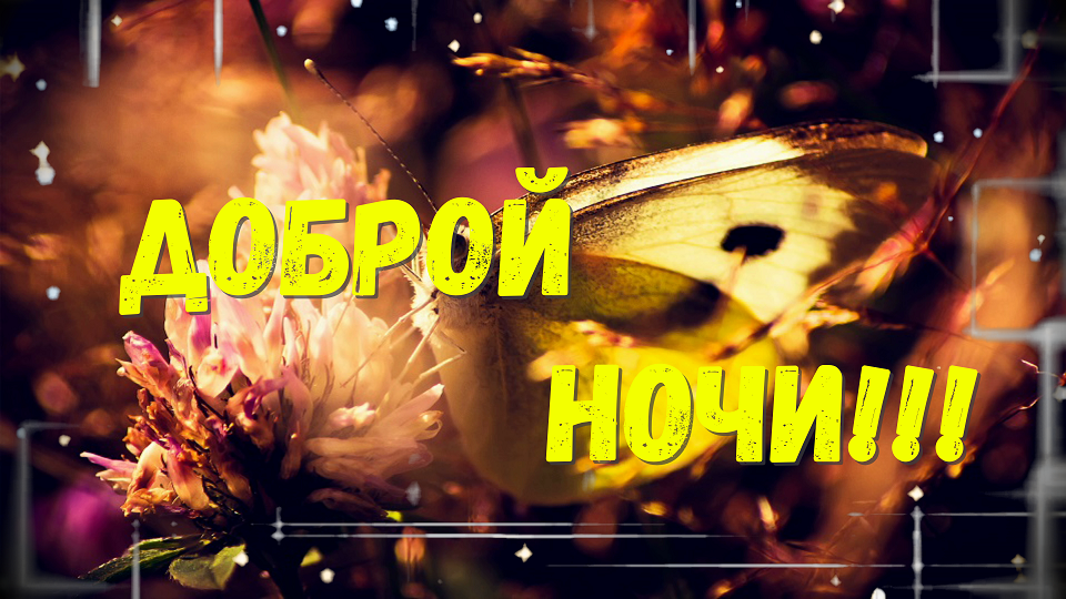 Доброй Ночи Сладких Снов! Пожелание Доброй Ночи