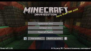 Играем в Minecraft 10