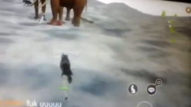 Играем в игру Волки смотреть онлайн