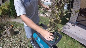 Садовый измельчитель ИЗЛИШЕСТВО или НЕОБХОДИМОСТЬ?