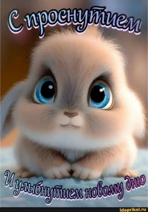 Дня хорошего желаю
И душевно обнимаю,
Чтобы день был позитивным,
Ярким, солнечным, активным!