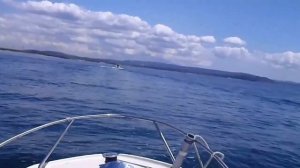 スターエース（SR-17）2艇縦走 YAMAHA－SR17 ARCTURUS号東京湾釣行　　You Tube 動画1000本目Anniversary