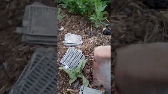 Как быстро почистить аккумуляторный свинец смотреть онлайн