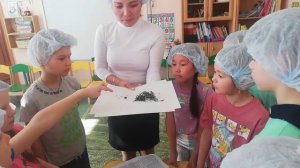 Эксперименты с магнитом (фрагменты занятия)