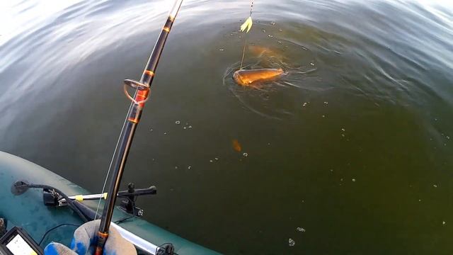 СОМ на КВОК. ДЕНЬ 09 августа у меня СОСТОЯЛСЯ ! смотреть онлайн