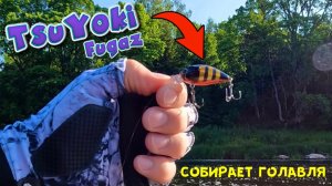 TsuYoki Fugaz не оставил без рыбы! Рыбалка со старым другом!