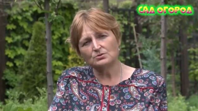 Многолетние цветочные культуры