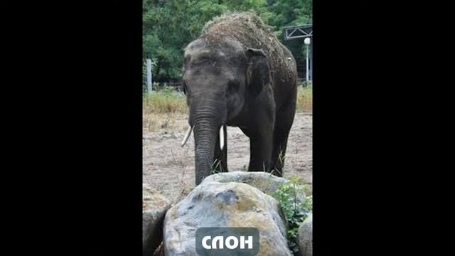 Остров Калимантан
