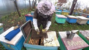 БАНК МАТОК В ЗИМУ, ЧТО СЛУЧИЛОСЬ С ЭКСПЕРИМЕНТОМ