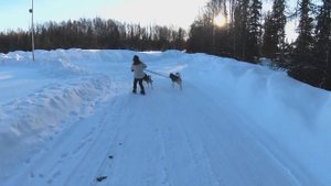 Жизнь и работа в штате #АЛЯСКА