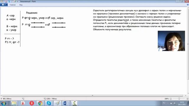 Решение задач по генетике. Закон Моргана "Сцепленное наследование признаков"