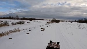 Погоня за косулями, прогулка по берегу реки на мотобуксировщике Baltmotors snowdog.