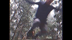 "СДОХНИ ИЛИ УМРИ"  (полушубок из мха)