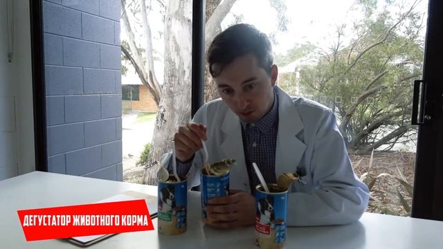 НЕОБЫЧНЫЕ ПРОФЕССИИ КОТОРЫЕ ВАС УДИВЯТ