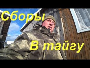 СБОРЫ в таёжный посёлок. Куда делся "Собака охотничиская" Готовлю снегоход к поездке. Пурга и метель