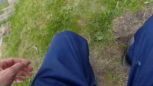 Рыбалка Пруд пеньки Ставропольский Край 17.05.22 г смотреть онлайн