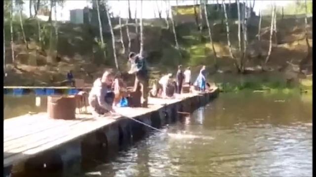 Бешеный клев форели!!! Рыбалка в Подмосковье!!! Форель клюет!!!