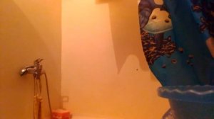 Облил себя холодной водой!(челенж)