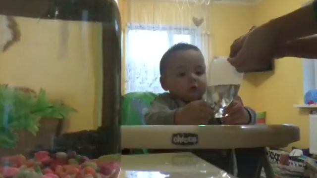 Завселяем рыбок в баночку смотреть онлайн