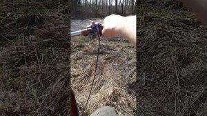 самодельный маятник мотороллер муравей