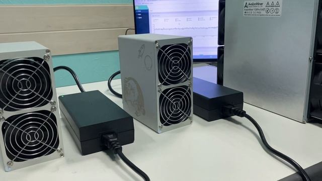 Goldshell Mini-DOGE - детёныш взрослого асика. Краткий обзор