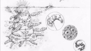 Так инопланетяне выглядят на самом деле. Ученые показали настоящий вид инопланетян. Видео. Фото.