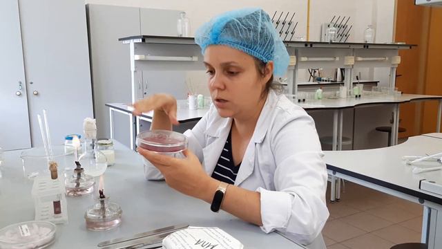 мікробіологічний аналіз молока смотреть онлайн