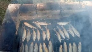 Рыба горячего копчения.