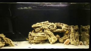Аквариум на 200 литров