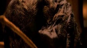 Ирина Богушевская Гость