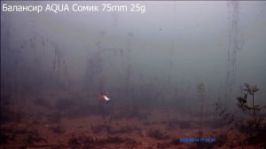 Балансир AQUA Сомик - игра балансира, подводная сьемка