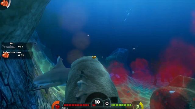 Feed And Grow Fish : Grouper (Survival)