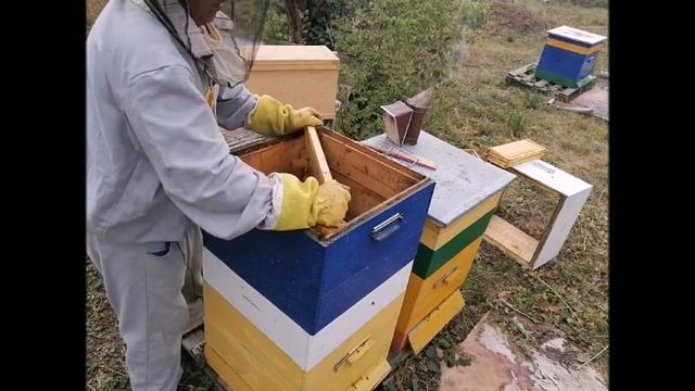 Глобальное расширение Результат осмотра смотреть онлайн