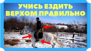 ОБУЧЕНИЕ НОВИЧКА ЕЗДИТЬ ВЕРХОМ НА ЛОШАДИ