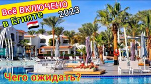 "Всё Включено" в Египте 2023 Шведский Стол и Сервис по-Египетски Ол Инклюзив All Inclusive в отеле