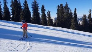 Горные лыжи, катание задом как упражнение для развития техники