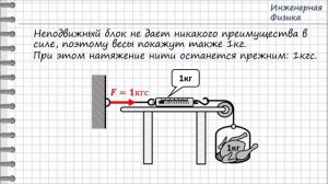 Что показывают весы?