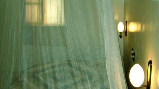 Шри-Ланка, Kandy District, Канди - Palm Gardens смотреть онлайн