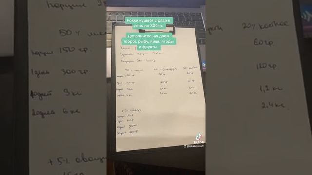 Сколько стоит натуралка для собак