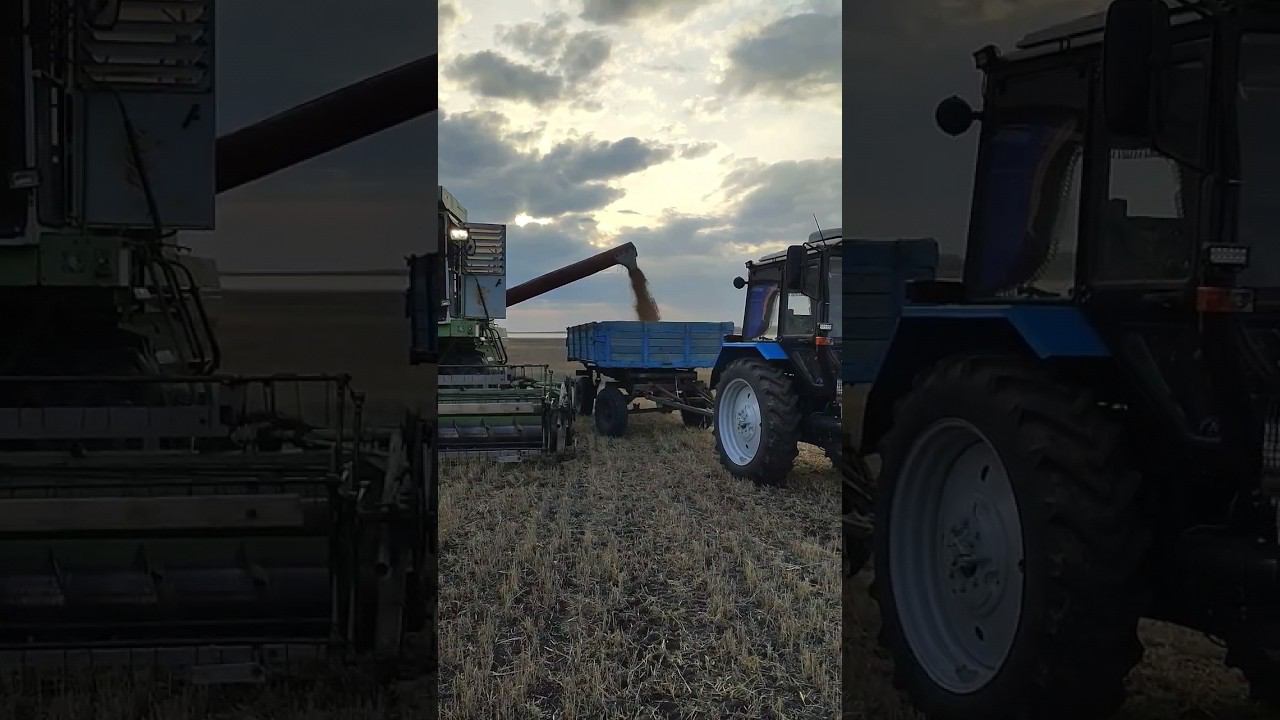 начало уборки 2023 смотреть онлайн