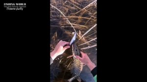 ПРИКОЛЫ НА РЫБАЛКЕ 2023! НЕОЖИДАННЫЕ СЛУЧАИ НА РЫБАЛКЕ! Unexpected fishing incidents