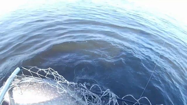 Поймал КРОКОДИЛА. Воткинское Водохранилище. Спиннинг. 2022 смотреть онлайн