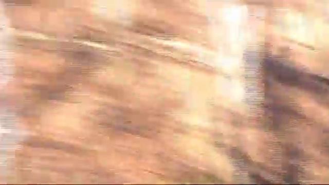 Лесной велоснайпинг 2011