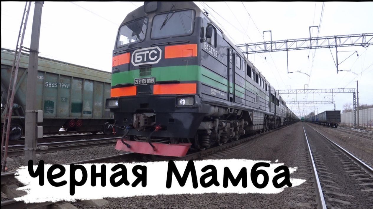 Чёрная МАМБА