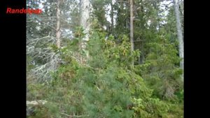 По Ладоге через Валаам на веслах. Часть 3. Радиационные острова.