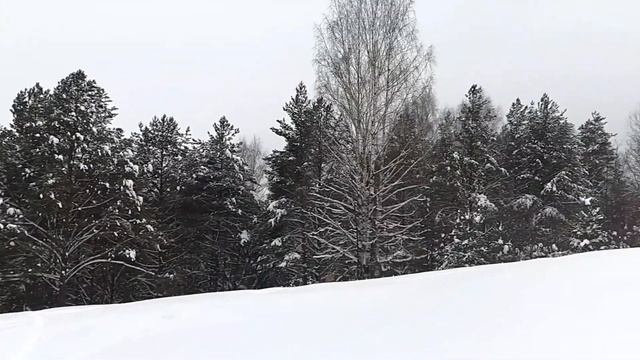 Самое красивое место на реке Ветлуге.  Варнавино, Нижегородская область.