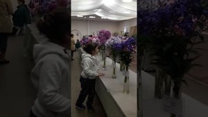Полина на выставке флоксов