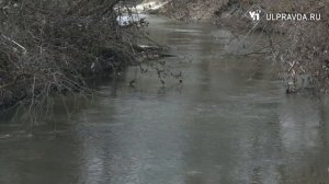 Новое русло. В Ульяновске начали разрабатывать проект по расчистке реки Сельдь