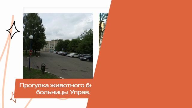 ФЕЙКИ: Эвакуация в Крыму / Поклонская о присоединении Крыма / НЛО в  Сибири / Алкоголь в еде на М4