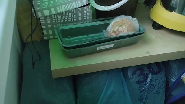 ТЕМНОТА И СЫРОСТЬ - ВОН ИЗ ДОМА! смотреть онлайн